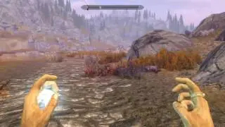 Skyrim how to become the FLASH PS4 AND XB1