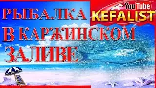 Рыбалка на кефаль с берега в Каржинском заливе!