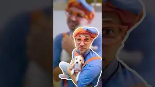 Blippi's Puppy and Kitten Animal Shelter Photoshoot 🐶 📸! 