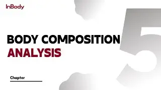 5. Body Composition Analysis