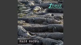 Take Cover (demo)