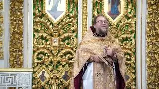 Не бойся свидетельствовать!..