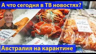 В церковь по Скайпу. Четвертая неделя изоляции Австралии. Честный репортаж. (видео 304)