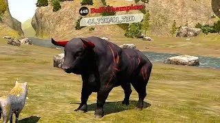 The Wolf - Bull Champion 🏆
