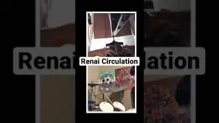 Renai Circulation|Piano|Drum set