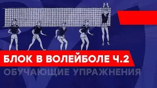 Блок в волейболе. Обучающие упражнения. Часть 2.