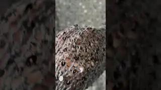 Связали бы себе такую?🤍🩶