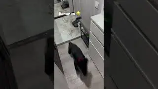 Первая примерка медальона с адресом 😂 