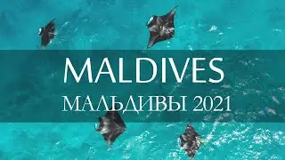 MALDIVES - MAAFUSHI (July, 2021)