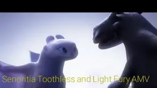 Senoritia- Toothless and Light Fury AMV