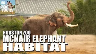 Zoo Tours: The McNair Asian Elephant Habitat | Houston Zoo (2008)