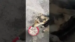 ПРИШЛИ НА ОБЕД. САМОМУ МАЛЕНЬКОМУ БОЛЬШАЯ ЧАШКА!