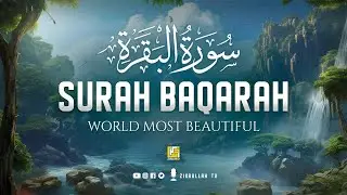 Surah Al Baqarah Full سورة البقره | Relaxing Calming & Heart Touching Quran | Zikrullah TV