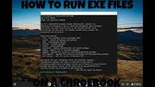 How to run exe files on a chromebook