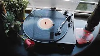 Most Bossa Nova Jazz Songs Compilation
