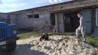 #УдивиВелю