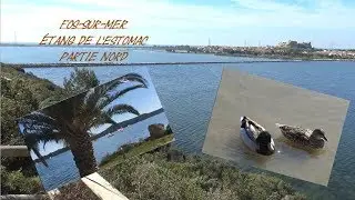 l'étang de l'Estomac nord à Fos-sur-Mer
