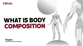 1. What is Body Composition