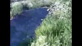Keinukallio MTB