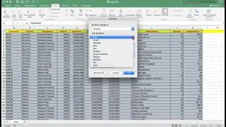 Excel all versions. The efficient use of Sort and Filter for all users