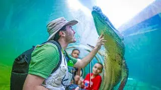 Watch This Before You Visit Zoo Miami