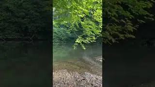 Göl Kenarında Kamp