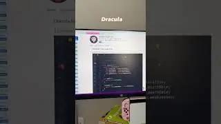 My favorite VS Code Themes!
