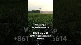 Mexico high efficient 30 liters drone sprayer Joyance agricultural fumigation drone 