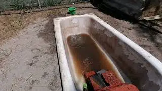 Откачиваю воду у уток и удобряю огород.