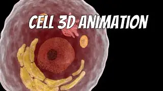 Bosten Cell Standards - Cell 3D Animation - Medical Animation
