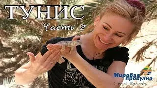 ТУНИС. Отдых в Тунисе. Часть 2. Мировая Прогулка. Путешествие мечты