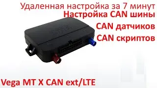 ВЕГА АБСОЛЮТ удаленная настройка CAN шины Vega MT X CAN ext/LTE