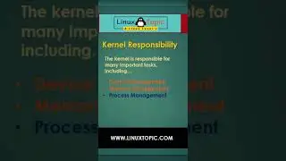 Linux Tutorial 2023: Kernel Responsibility #shorts #ytshorts #youtubeshorts #linuxtopic #linux