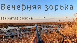 Утиная охота на взморье