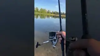 #karp #fishing #karpfishing🎣 #youtube #shorts