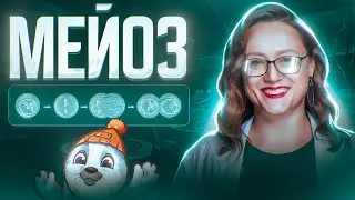 Мейоз | ЕГЭ по биологии 2025