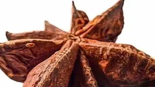 سوره الحق وما ادراك ما الحق