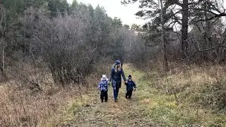 Тёплый осенний денёк). Прогулка по лесу