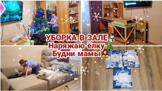 УБОРКА В ЗАЛЕ⛄ Наряжаю ёлку🎄 Будни мамы👩‍👦‍👦 Любимый василек