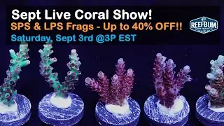ReefBum's September 2022 Live Coral Sale