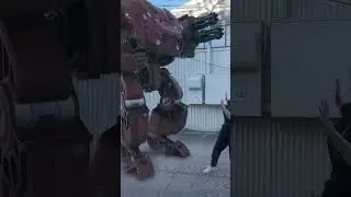 Security droids are not to be messed with 
