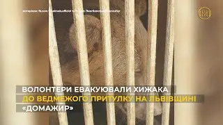 Покинутий у Бахмуті ведмідь знайшов нову домівку на Львівщині