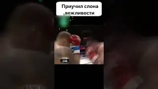 АМБАЛ с каменный лицом НЕ УВАЖАЛ соперника из за ЕГО ГАБАРИТОВ и... 