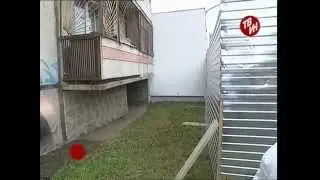 «Понастроили конюшен...»
