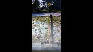 Воскресенск  Город оставили в говне руководители