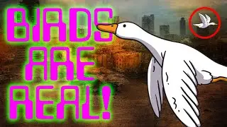 LMUAC Gamma World, the Lost Duck Footage!