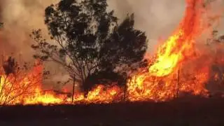 Fire threatens a farm, southern Cape, South Africa