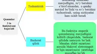 5 mavzu Olamning universal aloqalari va rivojlanish. Falsafaning qonun va kategoriyalari