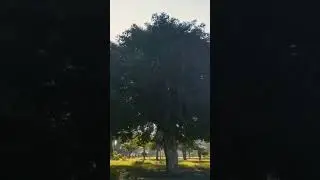 belajar ngedrone 😁
