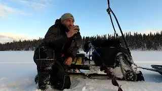 Продается мотособака "Паксус Гранд-1650"